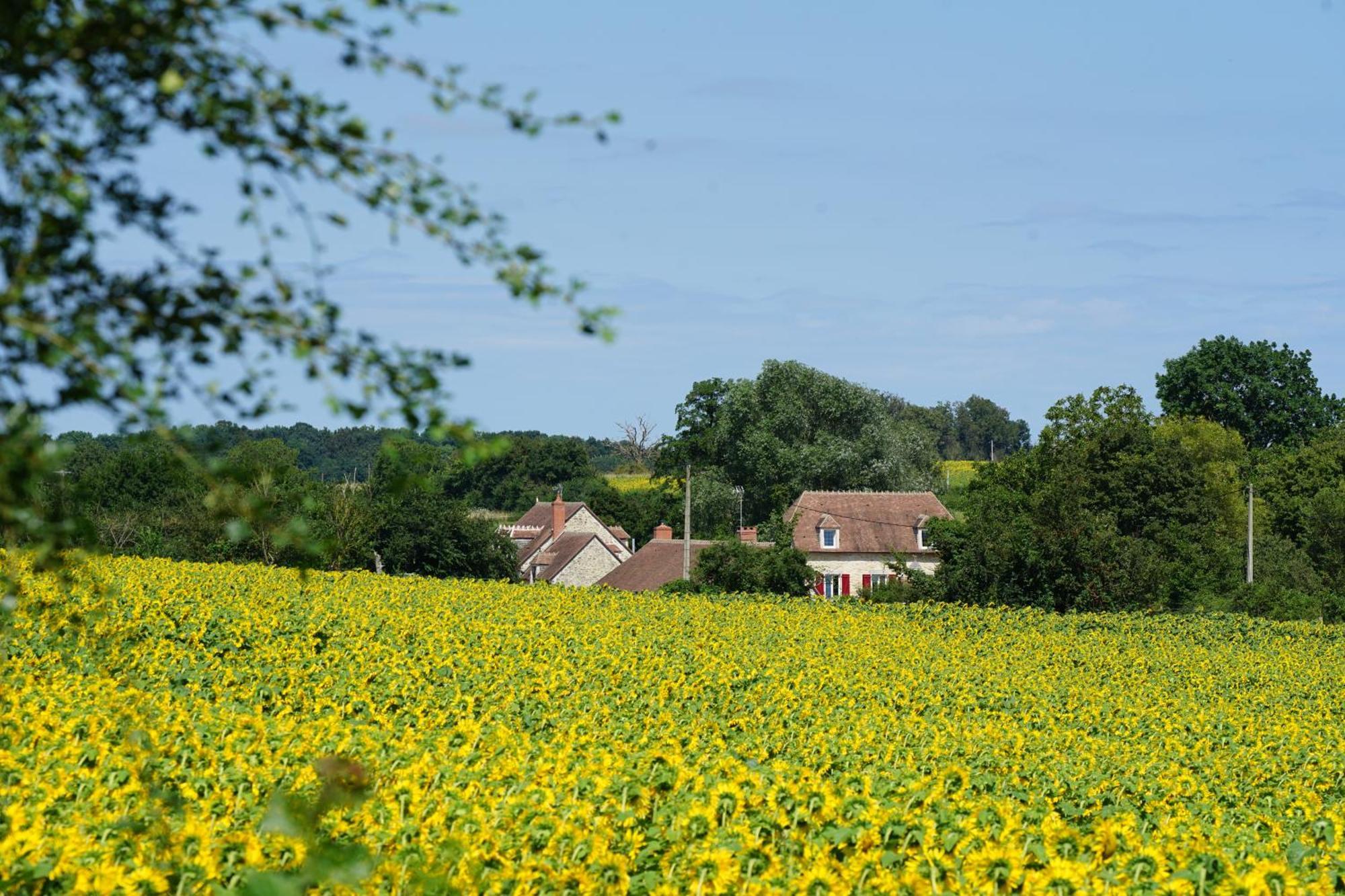Moulin De Petoulle Hotel Charenton-du-Cher Eksteriør billede
